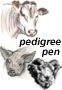pedigree pen