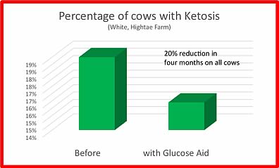 The graph notes the reduction in ketosis. Over a period of four months and following the introduction of Glucose Aid, there was a 20% reduction in all cows with ketosis.
