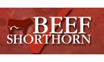 Beef Shorthorn