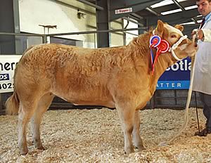 the supreme champion and £3,000 entry from David Henderson, Auchenrivoch