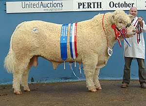 Sale leader at 25,000gns was Garracloon Vidame