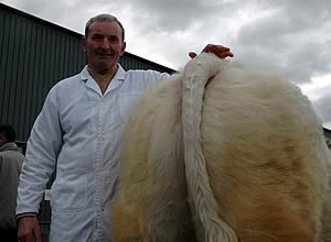 Charolais enthusiast, Stuart Bothwell