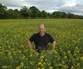 David Peacock among his winter oilseed rape crop