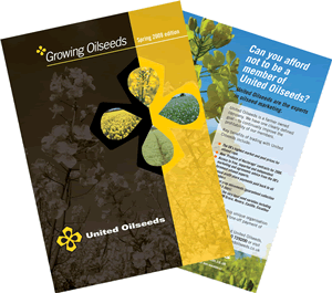 Growing Oilseeds