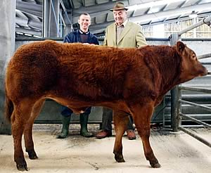 Skipton suckled calves supreme champion