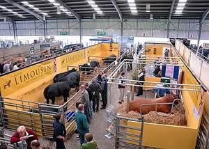 Beef Expo 2008