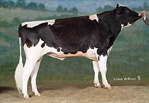 Regancrest Shottle Ian