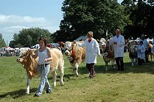 Cumberland Show