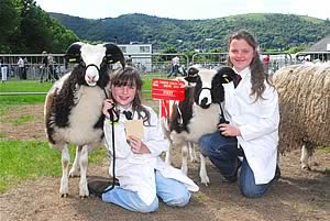 Three Counties Show