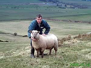 Neil Howie with one of his Vendeen rams