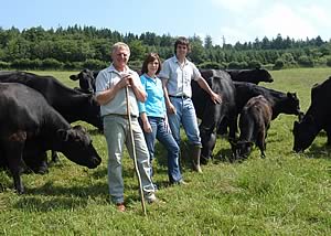 Westwilmer Aberdeen Angus Herd