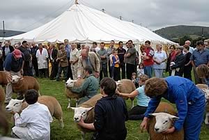 NSA Wales and Borders Early Ram Sale