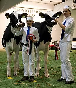 2008 Champion & Reserve Champion Calf