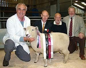 Supreme Rare & Native Breed Sheep Champion