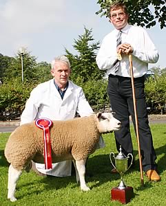 Skipton Beltex supreme champion