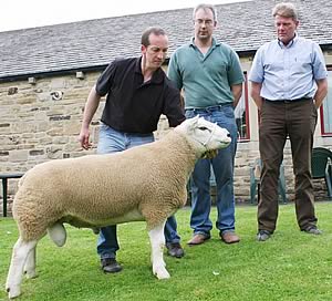 Skipton Texel show