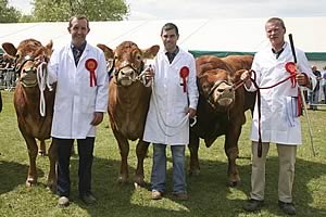 Calf handling class