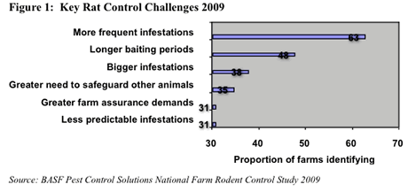 rat control challenges