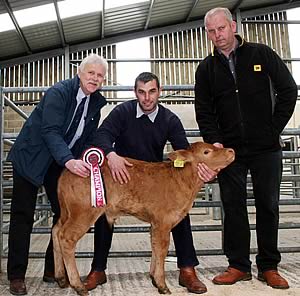 Skipton calf champion