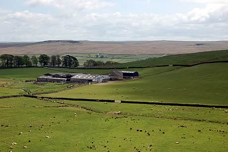 Hillgill Farm