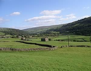 agricultural buildings