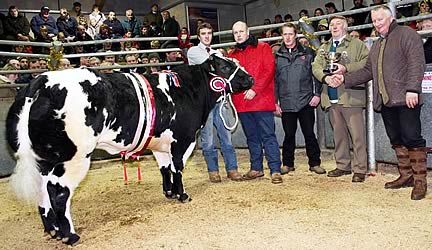 Skipton Christmas prime beef supreme champion