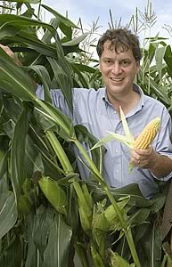 Paul Billings in maize