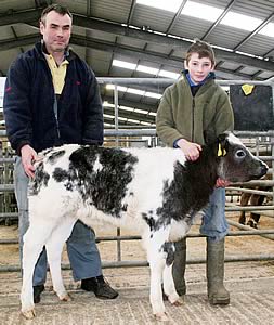 Skipton calf champion