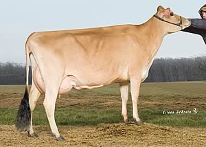 Norse Star All Star VG84