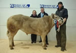 Reserve Champion With Sponsors 1