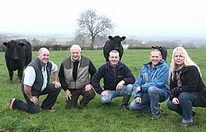 Pedigree Aberdeen Angus breeders