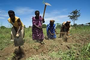 Women farmers