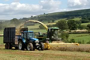 combine harvesting