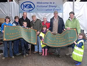 NSA Welsh Sheep