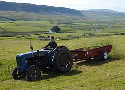 Spreading hay meadow seed in green hay  in Upper Teesdale