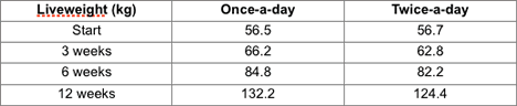 Calf Performance