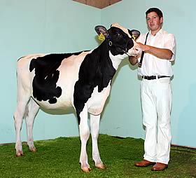 Hilltara Goldwyn Maude 2 ET