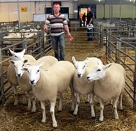 Alun Bennet with the champion females