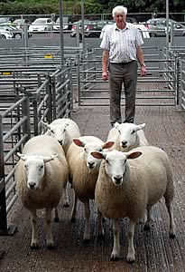 Dai Morris with 1st ewe lambs