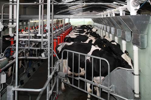 New Mindset Needed for Milking Parlour Maintenance