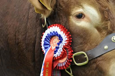 Agricultural Show