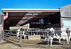 Western Rother Catchment