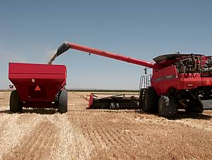 Independent Grain Tank Cross Auger