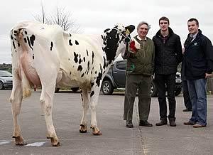 Ardmore Shottle Jill 2