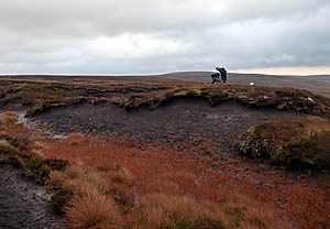 peatlands at Killhope, County Durham