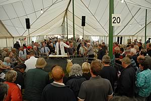 Builth Wells Ram Sale