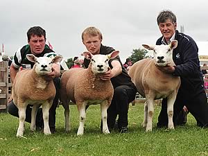 Ettrick Texels