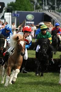 Shetland Pony Grand National