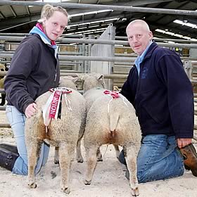 Easter Spring lamb show