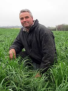 Mark Greaves